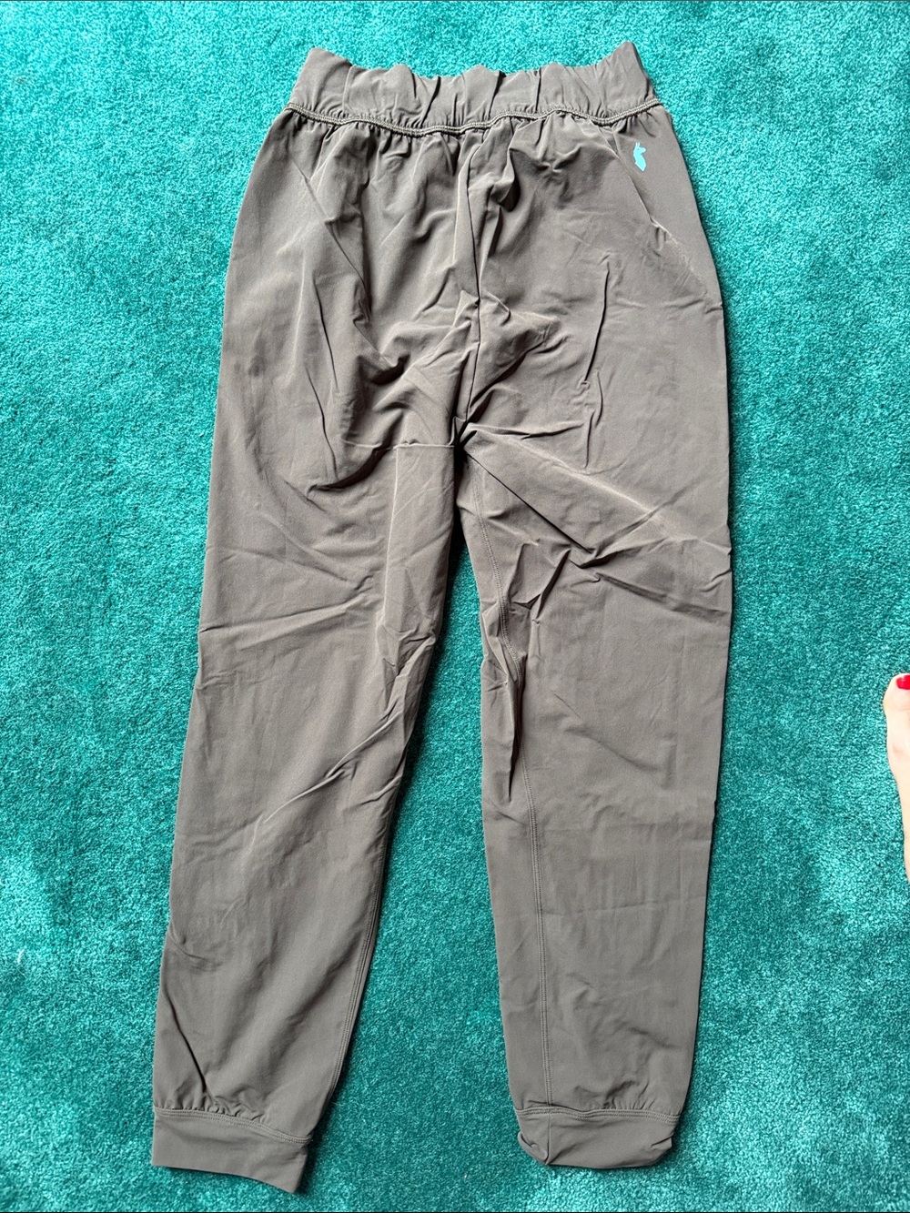 Cotopaxi elastic waist joggers - Picture 4 of 4